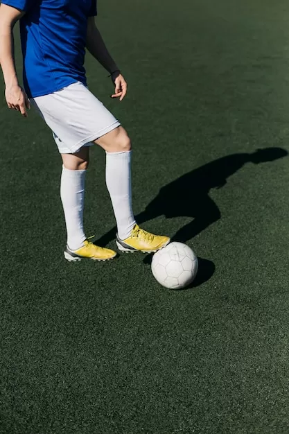 战斗中的UFC选手